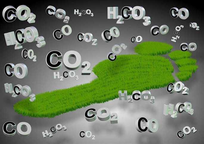 how big is your carbon footprint