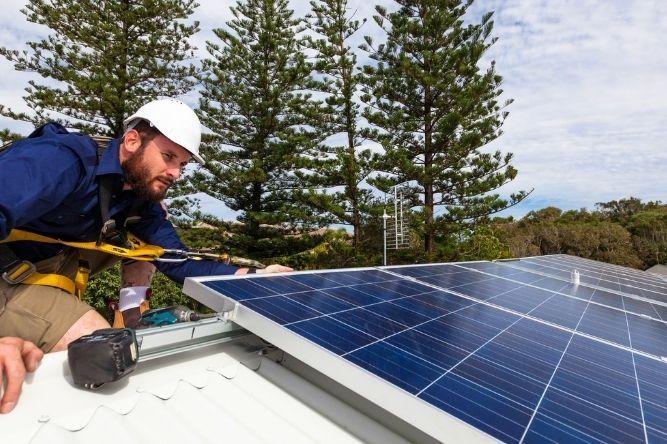 do i need critter guards for my solar panel system